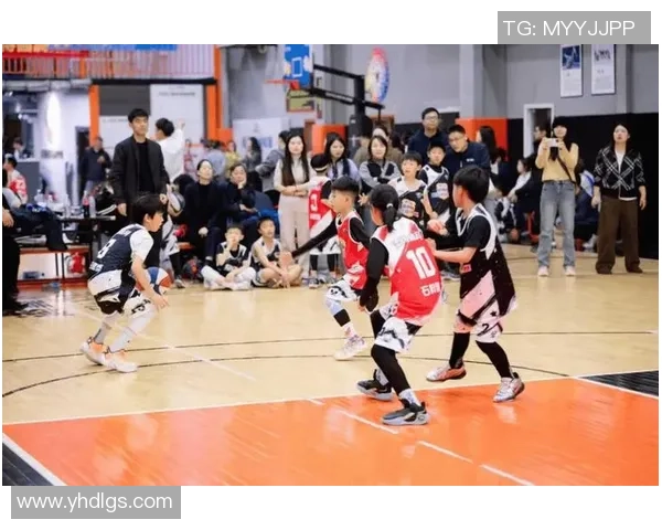 北京篮球队的节奏揭秘:激情与策略交织的篮球盛宴